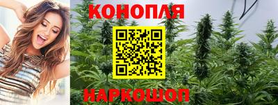 хмурый Бийск