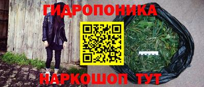 хмурый Бийск