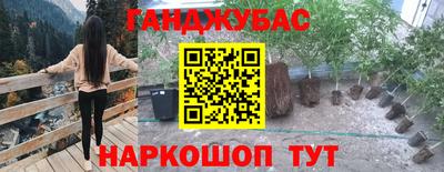 хмурый Бийск