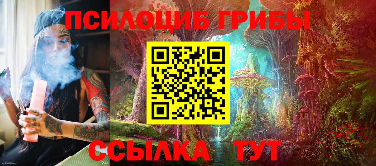 Псилоцибиновые грибы ЛСД Гусиноозёрск